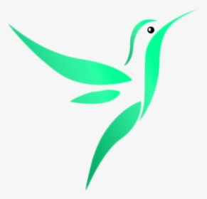 Clip Art Bird Vector Design Birds - Hummingbird, HD Png Download, Transparent PNG