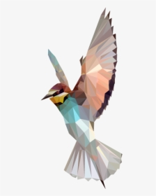 Bird Polygon Google Pinterest - Bird Polygon, HD Png Download, Transparent PNG