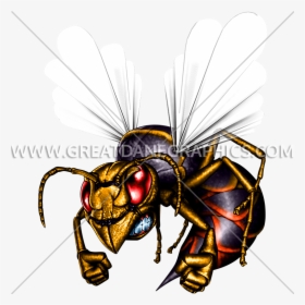 Hornet Clipart Killer Bee - Hornets Art, HD Png Download, Transparent PNG