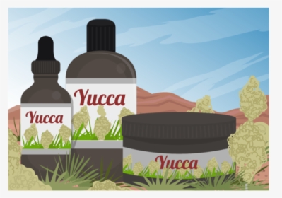 Yucca Scene And Yucca Medicine Extract Of Vector - Tree, HD Png Download, Transparent PNG