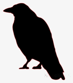 Game Of Thrones Crow Silhouette Clipart Bird Clip Free - Red Crow Silhouette, HD Png Download, Transparent PNG