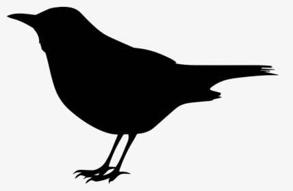 Crow Clipart Black Bird - Clipart Black Bird, HD Png Download, Transparent PNG