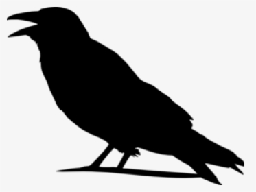 Raven Outline Cliparts - Transparent Background Crow Clipart, HD Png Download, Transparent PNG
