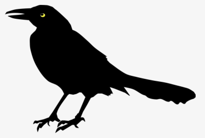 Perching Bird,rook,new Caledonian Crow - Blackbird In Tree Clip Art, HD Png Download, Transparent PNG