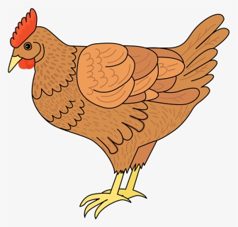 Hen Png Download - Layers Chicken Black And White, Transparent Png ...