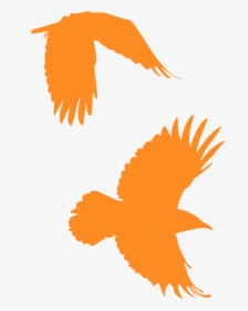 Corbeau Orange, HD Png Download, Transparent PNG