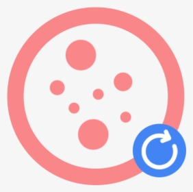 Circle,clip - Circle, HD Png Download, Transparent PNG