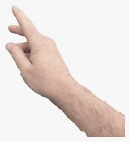Right Hand For Ar - Right Hand Png, Transparent Png, Transparent PNG