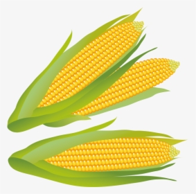 Corn On The Cob,corn,corn Kernels,yellow,sweet Corn,vegetarian - Bullring Shopping Center, HD Png Download, Transparent PNG