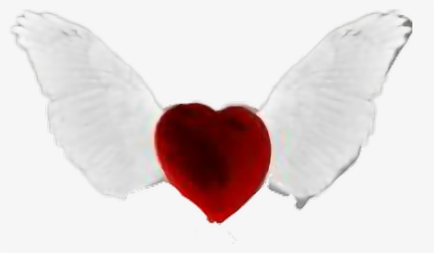 Transparent Heart With Wings Clipart - Angel Heart Png, Png Download, Transparent PNG