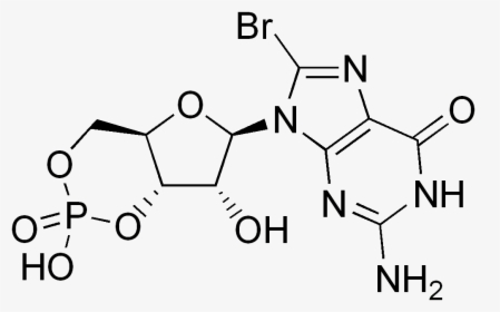 8-bromo Cyclic Gmp - 2 Amino Terephthalic Acid, HD Png Download, Transparent PNG