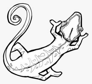 Chamaleon Outlines Black And White - Cartoon, HD Png Download, Transparent PNG