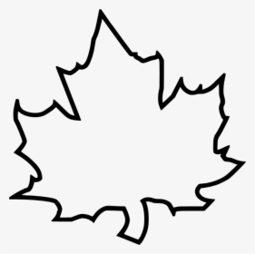 Explore Maple Leaves, Autumn Leaves, And More - Large Leaf Template, HD Png Download, Transparent PNG