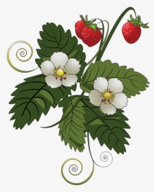 Strawberry Plant Clipart, HD Png Download, Transparent PNG