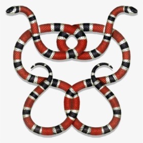 Gucci Guccigang Snakes Guccilogo Logo Stickerpng - Coral Snake Draw, Transparent Png, Transparent PNG