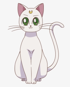 Artemis Sailor Moon Luna, Sailor Jupiter, Sailor Moon - Artemis Sailor Moon Cats, HD Png Download, Transparent PNG