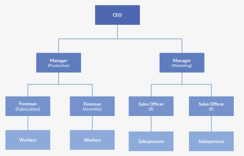 Dave And Busters Organizational Chart , Png Download - University Of ...