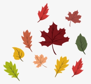 Png Black And White Autumn Vector Colorful Leave - Leaf Autumn Vector Png, Transparent Png, Transparent PNG
