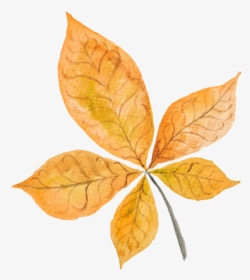 Fall Leaves Bullet Journal, HD Png Download, Transparent PNG