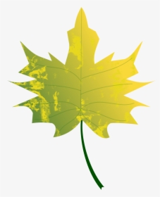 Autumn Leafs Clip Art - Green Fall Leaves Clip Art, HD Png Download, Transparent PNG