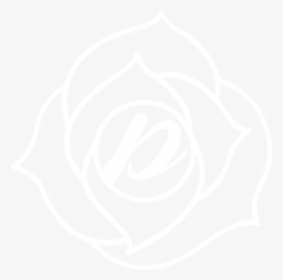 Johns Hopkins White Logo, HD Png Download, Transparent PNG