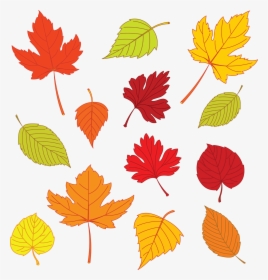 Drawing Template At Getdrawings - Small Fall Leaves Clipart, HD Png Download, Transparent PNG