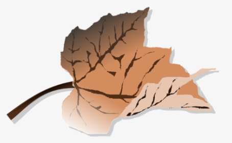 Brown Autumn Leaf Vector Clip Art - Dead Leaves Clipart, HD Png Download, Transparent PNG