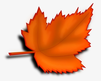 Maple, Autumn, Fall, Leaf, Orange, Shades - Maple Leaf, HD Png Download, Transparent PNG