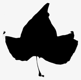 Fall Beijing Leaves Black Stencil 2 Clip Arts - Transparent Ivy Leaf Black, HD Png Download, Transparent PNG