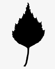 Free Vector Birch Leaf Silhouette - Силуэт Листа Березы, HD Png Download, Transparent PNG