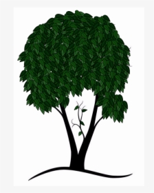 Untitled - End Gif With Trees, HD Png Download, Transparent PNG