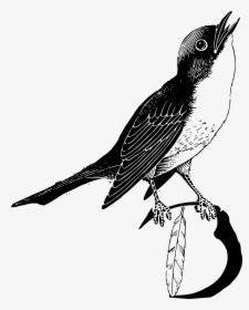 Clip Art Bird Big Image Png - Bird With Feathers Clipart In Black And White, Transparent Png, Transparent PNG