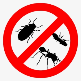 Pests Control, HD Png Download, Transparent PNG