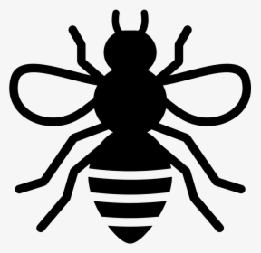 Noun Bee 1975333 000000 - Stingless Bee Icon, HD Png Download, Transparent PNG