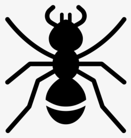 Noun Ant 1975336 000000 - Red Ant Icon, HD Png Download, Transparent PNG