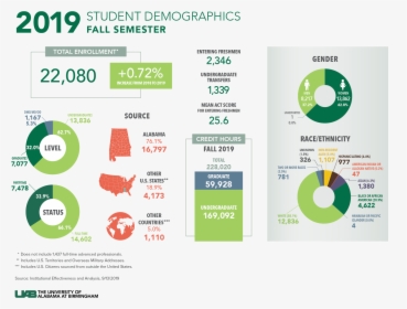 Student Demographics - Student Demographics Dashboard, HD Png Download, Transparent PNG
