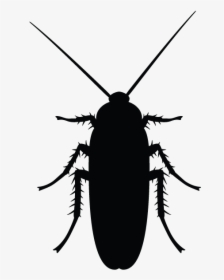 Minneapolis Pest Library - Cockroach Black And White, HD Png Download, Transparent PNG