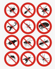 Pest Control Icon Free, HD Png Download, Transparent PNG