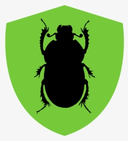 Beetle Clipart, HD Png Download, Transparent PNG