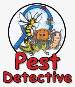 Words Pest Detective - Drawing, HD Png Download, Transparent PNG