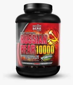 Russian Bear Protein Png, Transparent Png, Transparent PNG