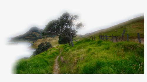 Paisaje, Rush, Hierba, Verde, En La Libre, Montañosa - Amazing New Zealand, HD Png Download, Transparent PNG