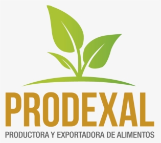 Prodexal - Exportadora De Alimentos Logo, HD Png Download, Transparent PNG