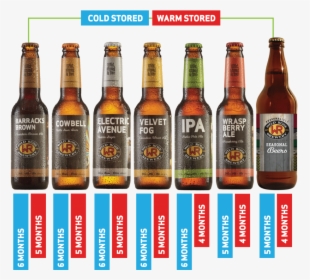 Transparent Crushed Beer Can Png - Beer Bottle, Png Download, Transparent PNG