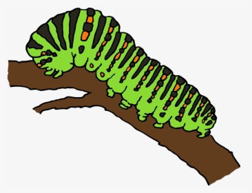 Caterpillar Png - Caterpillar Clipart, Transparent Png, Transparent PNG