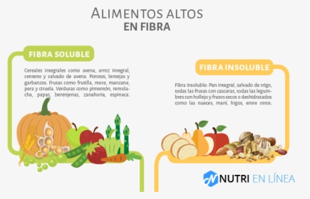 Fibra Alimentos - Fibra Alimentaria Beneficios, HD Png Download, Transparent PNG