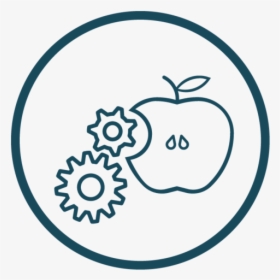 Circle, HD Png Download, Transparent PNG