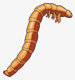 Zophobas Morio, HD Png Download, Transparent PNG