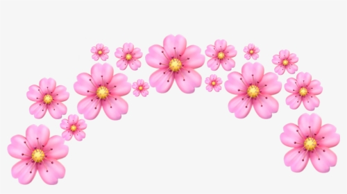 Pink Flower Png Images Transparent Pink Flower Image Download Pngitem