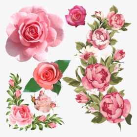 Pink Roses - Border Pink Flower Clipart, HD Png Download, Transparent PNG